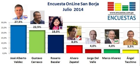 Encuesta San Borja