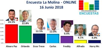 Encuesta La Molina, Online – 16 Junio 2018